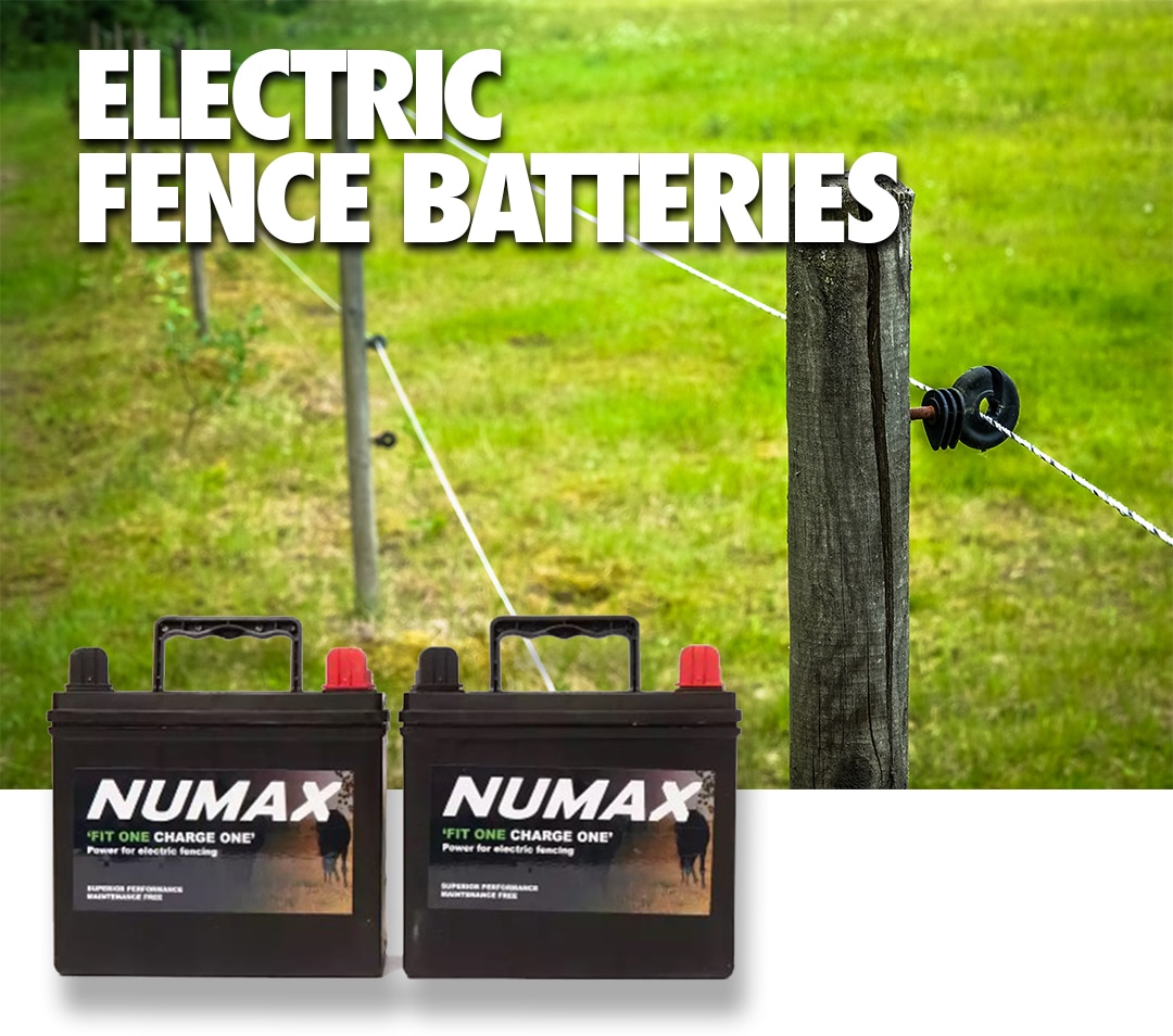 electric fence batteries large image